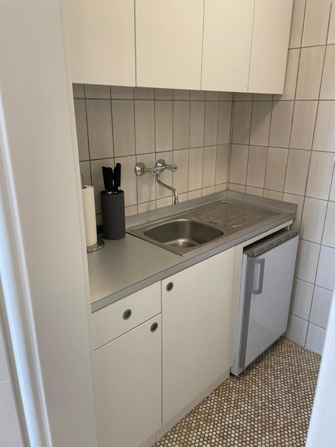 Sophie Superior Apartment Karlsruhe Eksteriør bilde